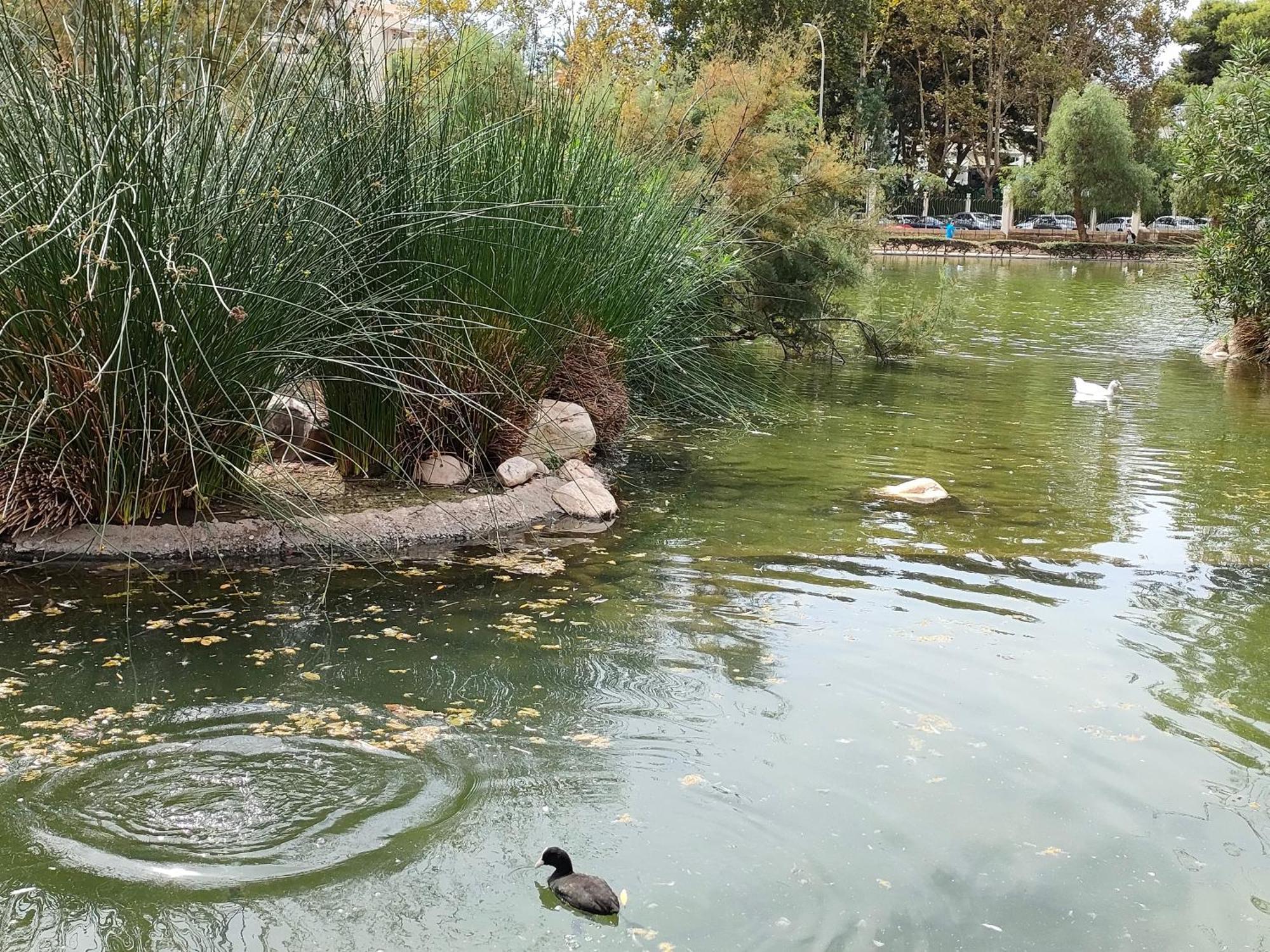 Pueblo Quinta * Benalmadena